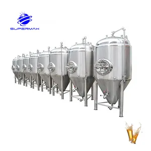 Good Quality Craft Beer Fermentation Tank New 20BBL Fermenter For Sale