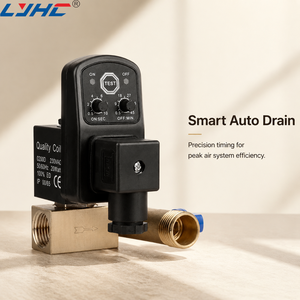 Válvula Solenoide Eléctrica DN8 DN10 DN15 DN20 DN25 DN32 DN40 DN50 DN60 24V 220V 12V /24V - Product Image 4