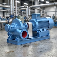 Pompe horizontale à double volute à grand débit en acier inoxydable, à carter divisé, multistade, haute pression, résistante à la corrosion, OEM