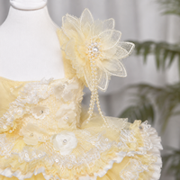 Robe pour animaux de compagnie jaune, style princesse, à volants superposés, jupe en dentelle, applique florale perlée pour petits chiens, vêtements pour animaux de compagnie avec logo personnalisé