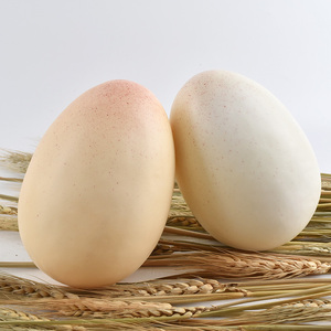 <span class=keywords><strong>Huevos</strong></span> <span class=keywords><strong>de</strong></span> mesa <span class=keywords><strong>de</strong></span> pollo <span class=keywords><strong>artificiales</strong></span> <span class=keywords><strong>de</strong></span> PVC al por mayor huevo <span class=keywords><strong>de</strong></span> avestruz blanco juguete para fiestas infantiles jardines <span class=keywords><strong>de</strong></span> Navidad y ocasiones - Product Image 4