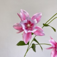 Bunga Clematis Buatan HGA Merah 2 Kepala, Ranting Kain 81cm, Buatan Tangan Alami untuk Dekorasi Rumah dan Pernikahan