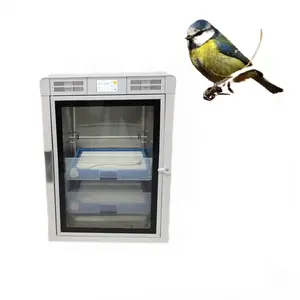 Incubadora de Aves, Incubadora de Canarios, Incubadora de Aves Improvisada, Zagreb - Product Image 1