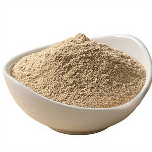High Quality <b>Plant</b> Based Shatavari Powder 100% Natural Cosmetic Grade Shatavari Powder Supports Healthy and Strong Hair Growth - Product Image 1