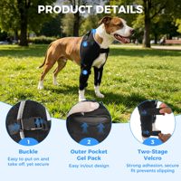 Attelle de coude pour chien de sport, motif uni, pour le soutien du hygrome, 4 pièces, gel chaud/froid, soulagement de l'arthrite, récupération post-chirurgicale