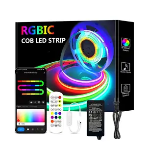 Thông minh RGB rgbic dải ánh sáng COB IP20 USB 5V 12V Wifi tuya ứng dụng điều khiển IP65 COB LED Strip Lights với Alexa