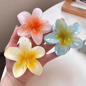 แฟชั่น pdany ขายส่งขายส่งร้อนไล่ระดับสี Plumeria ดอกไม้กิ๊บหนีบผมเครื่องประดับผู้หญิงขนาดใหญ่ - Product Image 2