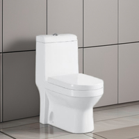 WC monobloc moderne à double chasse, cuvette allongée en céramique, fixation au sol, évacuation en P, design coloré pour hôtels
