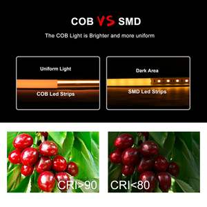 Luz LED impermeable con luz blanca cálida de 2700K, barra de luz LED de 24V, adecuada para baños exteriores, piscinas y jardines. - Product Image 3