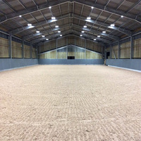 Construcción portátil comercial de aves de corral para interior, construcción prefabricada de caballos de Arena