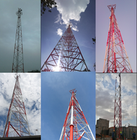 Tour monopolaire en acier galvanisé résistante de télécom de Polonais avec l'échelle de boulons d'étape