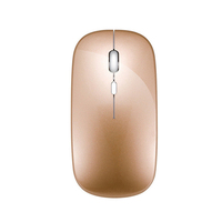 Souris sans fil ergonomique et confortable Souris optique rechargeable pour ordinateur portable