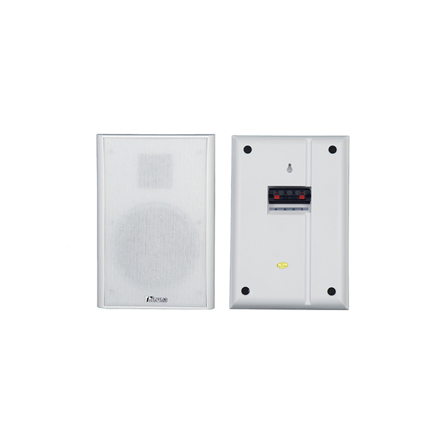 Thinuna XS-25 Slim Flat Panel Speaker with Ultra-thin Enclosure Design Indoor PA System 100V 10W Invisible In-wall Speaker