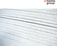 Plaque de magnésium ignifuge haute performance TianTie MGO - 8-14 mm, classe A1, 1200x3000 mm, moderne, pour bâtiments hospitaliers
