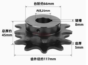 Pignon BS25-C210A rouleau à double rangée BS25-C208A chaîne à double vitesse pour lignes de convoyage automatisées - Product Image 4