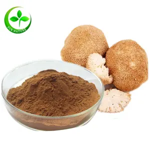 Natural herb extract lion's mane mushroom / hericium erinaceus extract polysaccharide 30% 50%