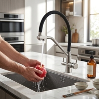 Robinet de cuisine amovible en acier inoxydable 304 pour les marchés européen et américain