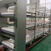 Cage à poules à plusieurs niveaux galvanisée à chaud avec équipement de collecte automatique des œufs pour l'élevage de poules pondeuses à grande échelle