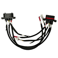 Kabel Daya Tahan Air dengan Konektor Terminal untuk Kendaraan Energi Baru Solusi Desain Kabel Khusus Produsen Kabel Harness