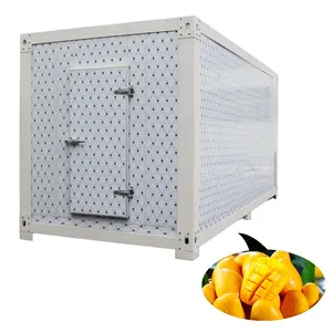 Entreposage frigorifique de chambre froide de conteneur mobile réfrigéré Promenade dans l'entreposage frigorifique de fruit de compresseur de refroidisseur