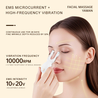 Masseur facial multifonctionnel, appareil de beauté portable rechargeable, instrument de soin de la peau du visage pour une utilisation quotidienne à domicile