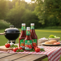 Base de sauce tomate BBQ épicée, vinaigrette tomate riche et acidulée pour grillades en plein air, fêtes BBQ et assaisonnement de viande – Vente en gros