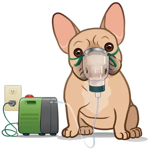Huisdier Kat Astma Apparaat Voor Gouden, Labrador Grote Hond, Kat Astma Respiratoire Ziekte Huisdier Medisch
