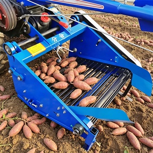 Récolteuse de patates douces à lame avant pour une récolte rapide et manuelle des cultures étalées à plat sur le champ - Product Image 1