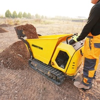 AUSTTER Dumper sur Chenilles Hydraulique Intégral de 800 Kg, Propulsé par Moteur à Essence B&S / Ducar de 15 CV, pour Chantiers