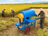Machine à battre le riz paddy à haute efficacité 600 kg/h, double alimentation électrique/diesel, pour céréales, blé et soja