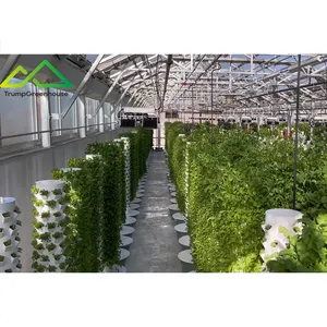 Equipo hidropónico de invernadero para interiores sistema hidropónico vertical agrícola vegetal agrícola vertical