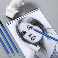 Ensemble d'outils de dessin et d'esquisse de 33 pièces, crayons d'art professionnels avec sac à fermeture éclair, fournitures complètes d'esquisse pour artistes et débutants