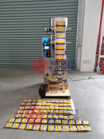 Offre Spéciale machine à emballer de poudre à laver petit équipement vertical de Bagger de poudre de savon 5-100g