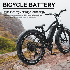 Nhà Máy Giá 36V 48V 20Ah Hl G70 Key gói 13ah <span class=keywords><strong>Max</strong></span> cá mập AH 21700 <span class=keywords><strong>Lithium</strong></span> BATTERIE downtube G80 Ebike hailong Pin - Product Image 5