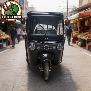 Tricycle à <span class=keywords><strong>3</strong></span> roues refroidi par eau de 250 cm³, véhicule de transport de passagers et de marchandises, avec suspension indépendante, carrosserie fermée, motorisé - Product Image 1