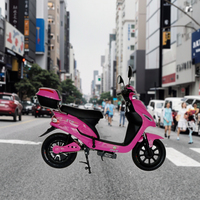 Brésil City Park Motos électriques Citycoco Scooter Pneu de 16 pouces Longue autonomie de 60km par charge Vélo électrique à charge maximale