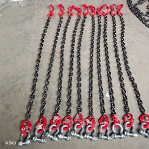 Eslinga de elevación de una sola pieza con cadena de grado 80 y gancho de seguridad - Product Image 1