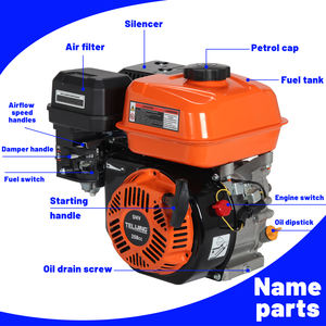 <span class=keywords><strong>Motor</strong></span> de Gasolina de 4 Tiempos y 1 Cilindro de 7 HP Euro 5 con Árbol de Levas de Acero Integral de 208 cc para Montacargas, la Elección Confiable del Propietario - Product Image 5