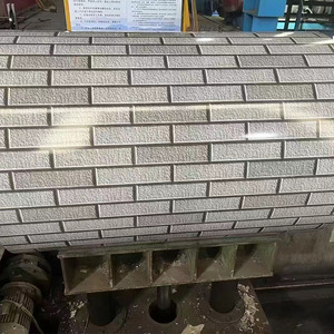 Bobina de Acero Galvanizado Prepintado PPGI White Label 9016 de 0.4mm, Bobina de Acero PPGL con Certificación JIS/<span class=keywords><strong>ASCI</strong></span>, Placa PPGI con Recubrimiento de Color - Product Image 2