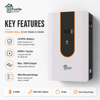 Module de batterie murale LiFePO4 à économie d'espace 51,2 V 100 Ah 5,12 kWh 6000+ cycles, alimentation stable