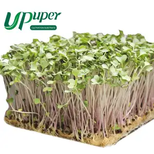 UPuper micro plántulas verdes agricultura estera de cultivo de lana de roca almohadilla de cultivo de propagación de semillas