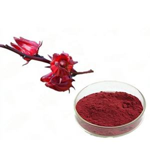 Yeni verilen doğal Roselle <span class=keywords><strong>Hibiscus</strong></span> özü tozu 10% kurutulmuş saf hatmi çiçeği cilt beyazlatma gıda renk bitki özü - Product Image 6