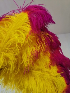 <span class=keywords><strong>Plumas</strong></span> <span class=keywords><strong>de</strong></span> Avestruz <span class=keywords><strong>de</strong></span> Color Bicolor <span class=keywords><strong>con</strong></span> Punta <span class=keywords><strong>de</strong></span> 60-65 cm para Disfraces <span class=keywords><strong>de</strong></span> <span class=keywords><strong>Carnaval</strong></span>, <span class=keywords><strong>Tocados</strong></span>, Mochilas y Decoraciones - Product Image 4