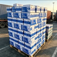 Scellant structurel en silicone écologique à durcissement neutre YSD, emballage polyvalent pour murs-rideaux en aluminium, lucarnes en verre, métal