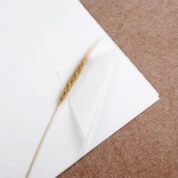Papier de soie d'emballage blanc antistatique double face 17 g/m² sur mesure pour vêtements et cadres photo, emballé sur palette
