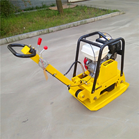 Compacteur à plaque vibrante réversible diesel/essence LTMG 2026 de haute qualité, fourni directement par l'usine