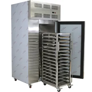 Refrigeratore per congelatore ammortizzatore istantaneo IQF