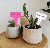 Étiquettes de plantes en plastique imperméables de pépinière étiquettes de plantes de jardin piquets marqueurs de pot multicolore