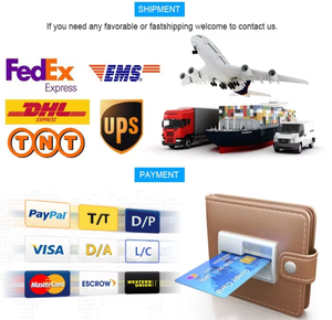 Traductor Inteligente Multi-idioma con LED para Aprender Inglés, Viajes al Extranjero, Compatible con Chino, Inglés, Japonés, Coreano y Francés - Product Image 6