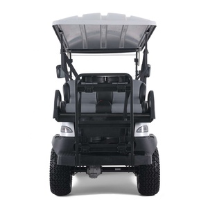 Tao Motor 2026 Nuevo Carro de Golf Turístico Chino de 4 Ruedas y 4 Plazas con Certificación EEC, Carros de Golf de 4 Ruedas - Product Image 6